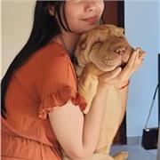 Profe de Inglés Particular - Tus Clases